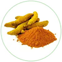 Curcumin Extract