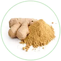 Ginger Extract