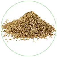 Ajwain