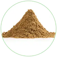 Ajwain Seed Powder