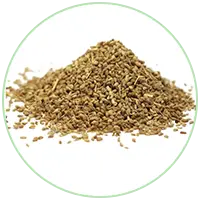 Ajwain