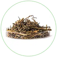 Apamarga Extract
