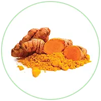Curcumin Extract