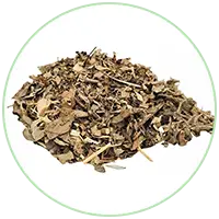 Dasamoola Extract