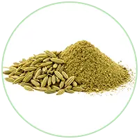 Fennel Seed Powder