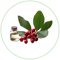 Gandhapurni Oil