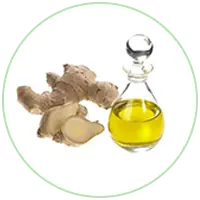 Ginger Oil