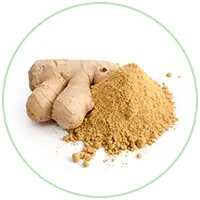 Ginger Powder