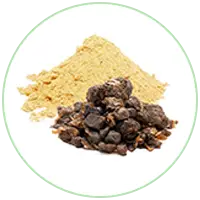Guggulu Extract