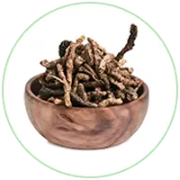 Katuki Extract
