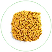 Methi
