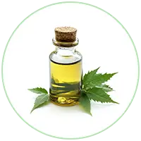 Neem Oil 