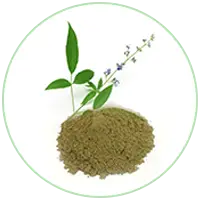 Nirgundi Extract
