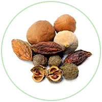 Triphala Extract