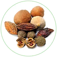 Triphala Powder