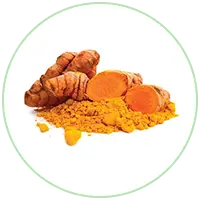 Turmeric Extract
