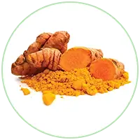 Turmeric Powder