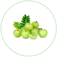 Amla