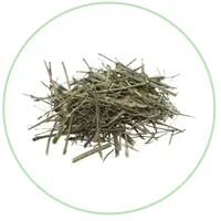 Chirayata