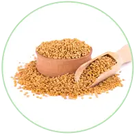 Dana Methi