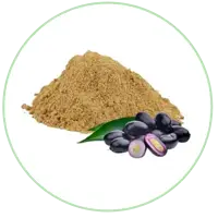 Jamun Seed