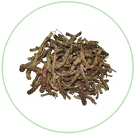 Kutaki