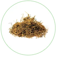 Pittapapda